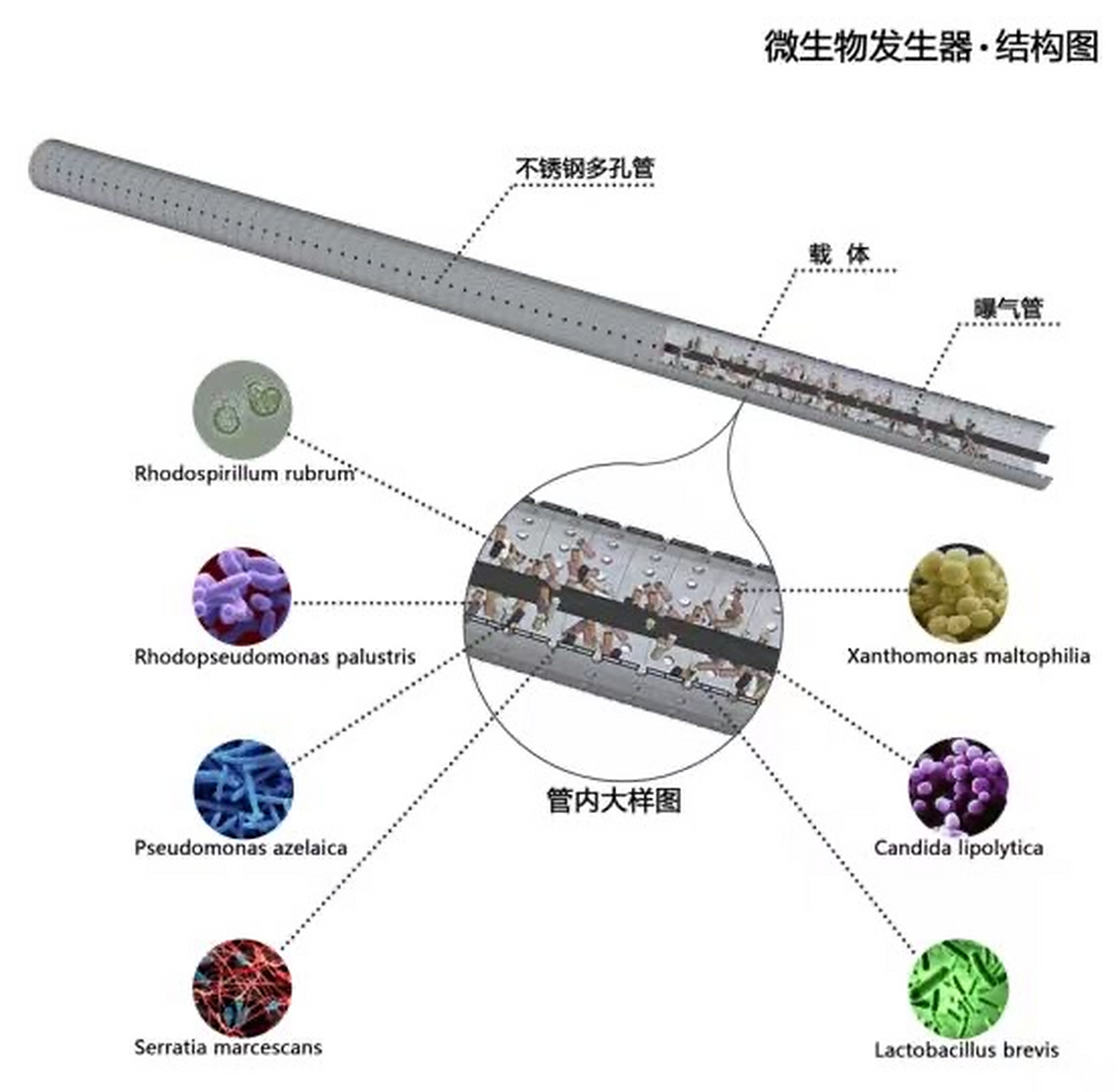 CSM一载体固化微生物技术
