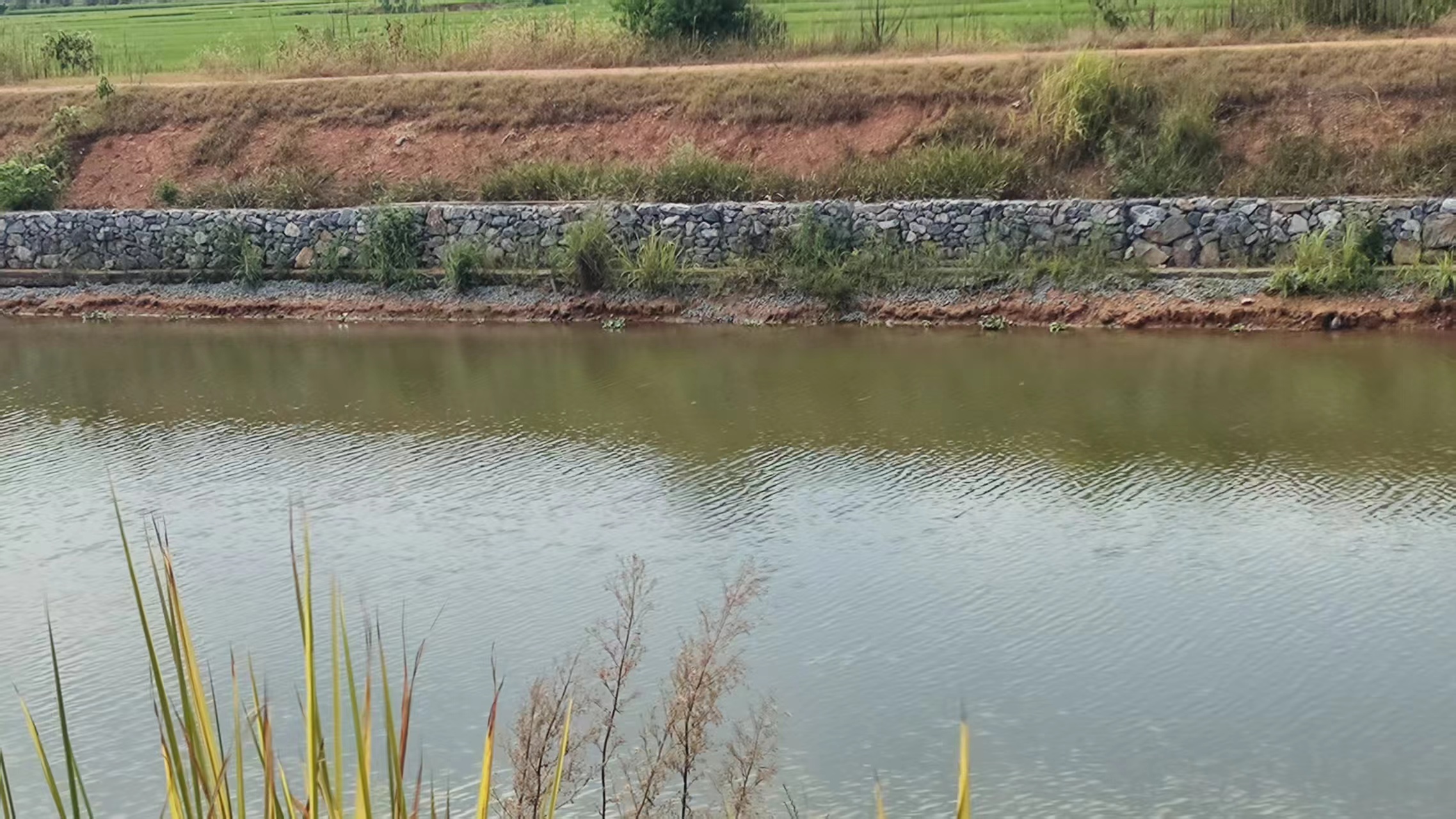 中扬环保_湖南中扬环保科技有限公司