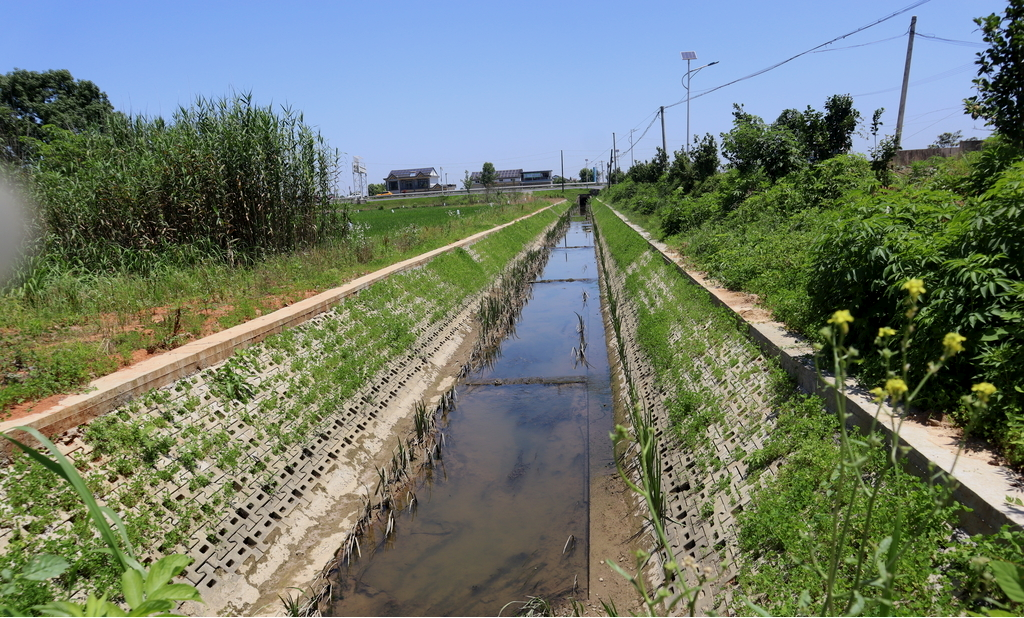 生态植草沟治理技术