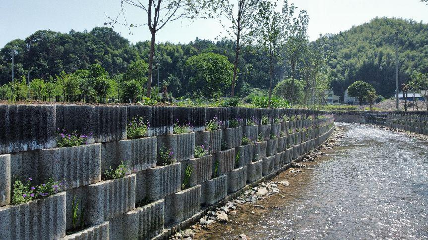 生态护岸修复治理技术